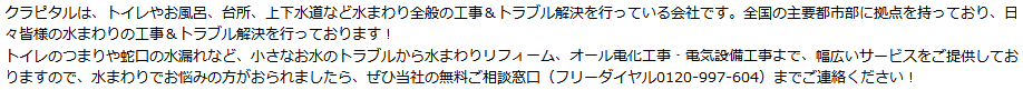 クラピタルのサービス説明